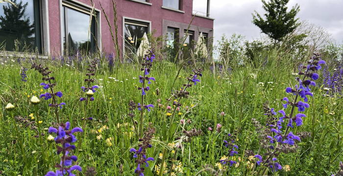 DIALOG NATUR 2025