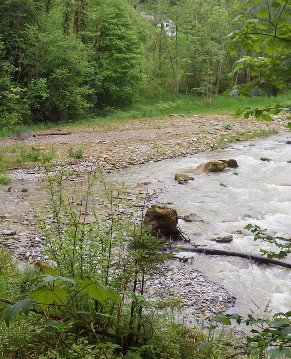 Flussbett