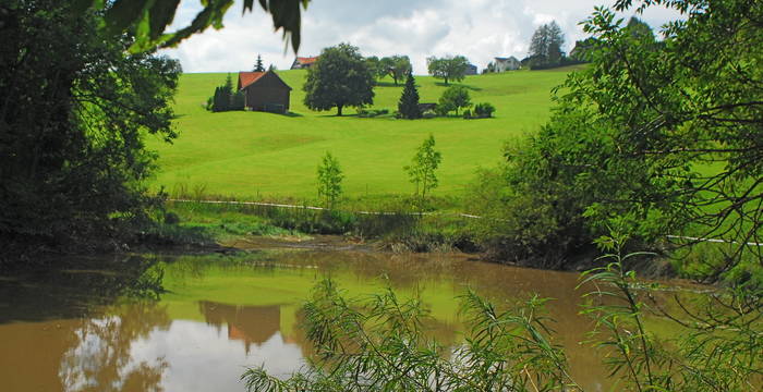 11004: Saumweiher, Herisau