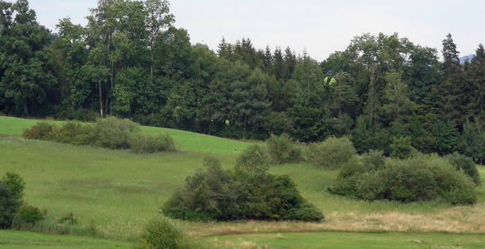 Schutzgebiet Oberbergfeld, Gossau