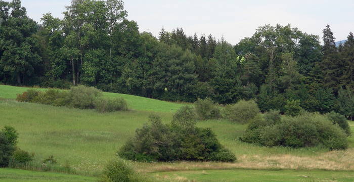 Oberbergfeld