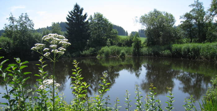 Hohfirst Weiher