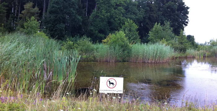 Weiher Täschen