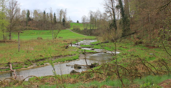 Kanton St.Gallen