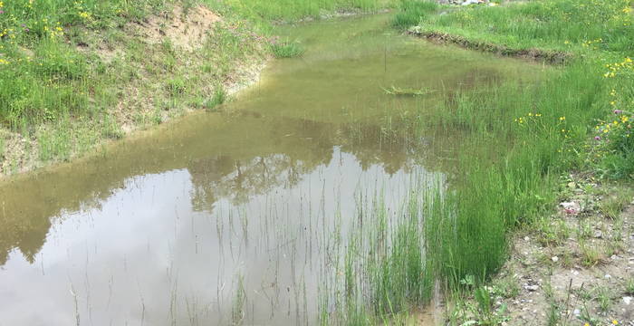 Ettenberg (cr Pro Natura SGA)