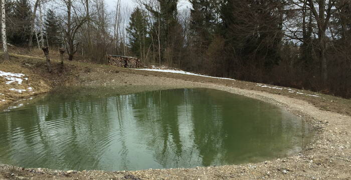 Der neue Kleinweiher nach Bauabschluss. (Foto: Pro Natura SGA)