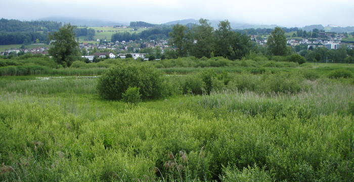 Entensee © Pro Natura St. Gallen-Appenzell