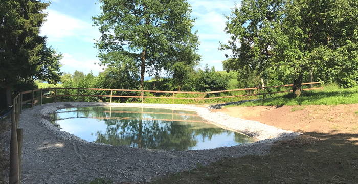 Weiher Alberenberg, Mörschwil © Pro Natura St. Gallen-Appenzell