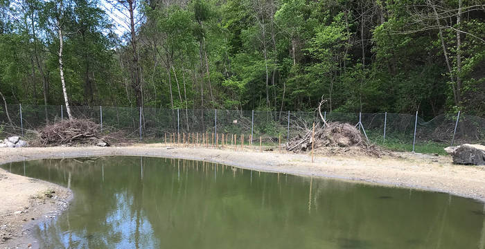 Neue Weiher Sarelli © Pro Natura St. Gallen-Appenzell