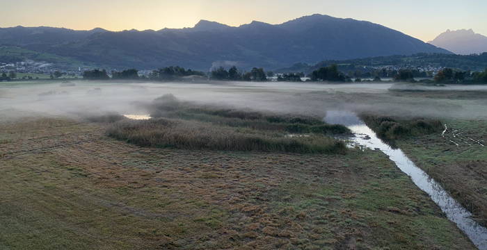 Mystische Stimmung im Kaltbrunner Riet