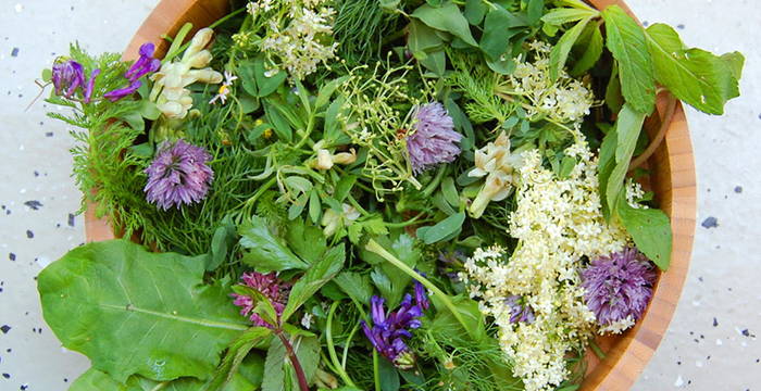 Wildkräuter  © Wikimedia Commons, Smoothie Mixer
