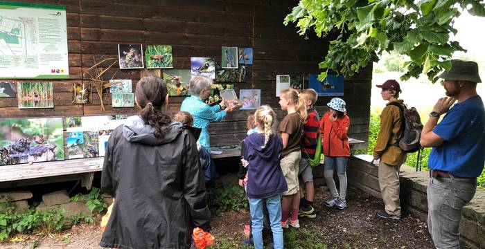 Kinderexkursion im Riet. Foto: Regula Bockstaller