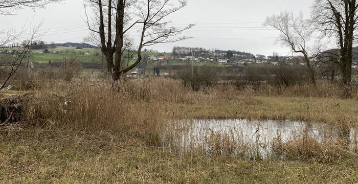 Schutzgebiet Buriet/Buechsee, Thal SG