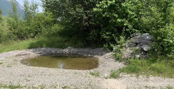 Neu erstellter Folienweiher