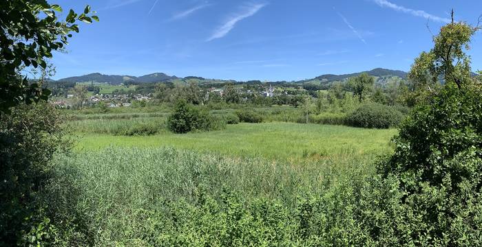 Flachmoor beim Entensee © Pro Natura St. Gallen-Appenzell