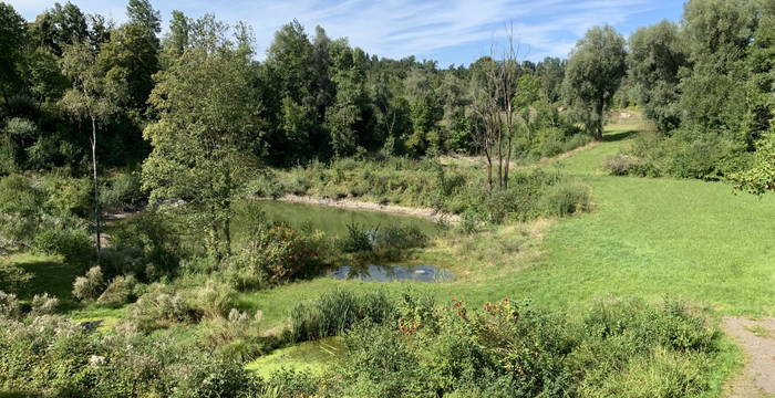 Ehem. Kiesgrube Espel © Pro Natura St. Gallen-Appenzell