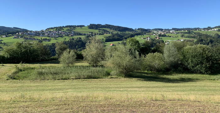 Verlandete Weiher Seebeli