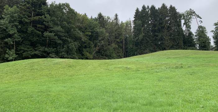 Aufzuwertende Fläche Sägi, Zuzwil. Foto: Pro Natura SGA