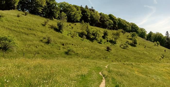 Silberbüel, Alp Ergeten © Pro Natura St. Gallen-Appenzell