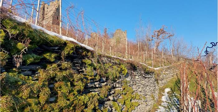 Trockensteinmauer Freudenberg