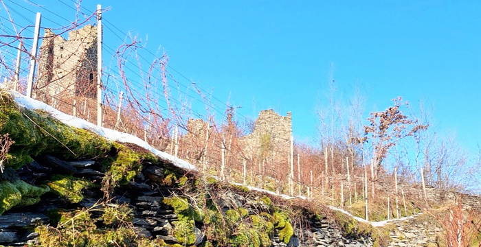 Freudenberg, Bad Ragaz