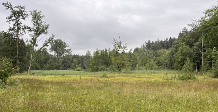 Arnegger Witi / Altmoos