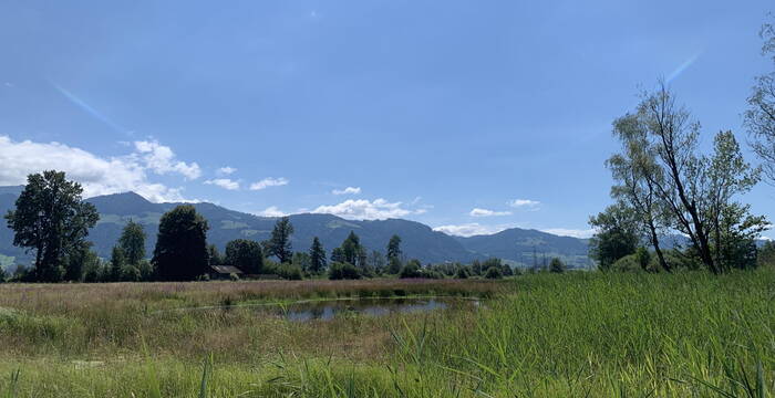 Kaltbrunner Riet