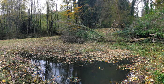 Schutzgebiet Gehrn, Heiden AR