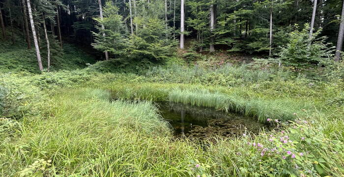 Schutzgebiet Löchli, Heiden AR