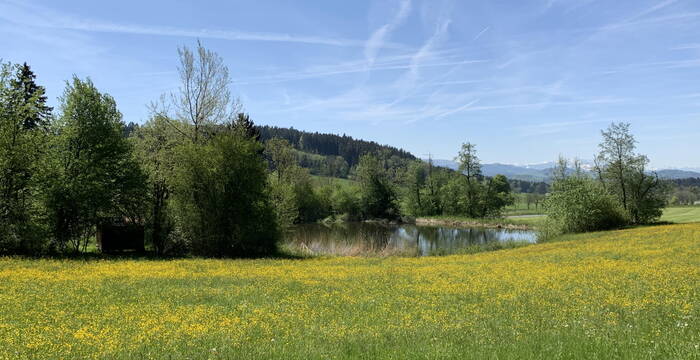 Hohfirst Weiher, Waldkirch SG