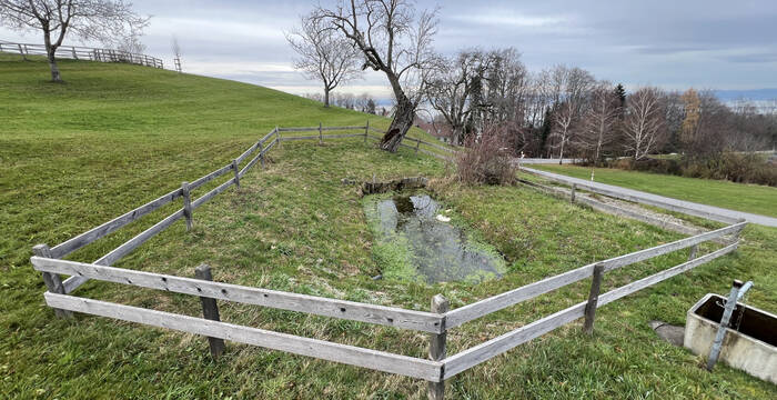 Weiher Hub vor Sanierung