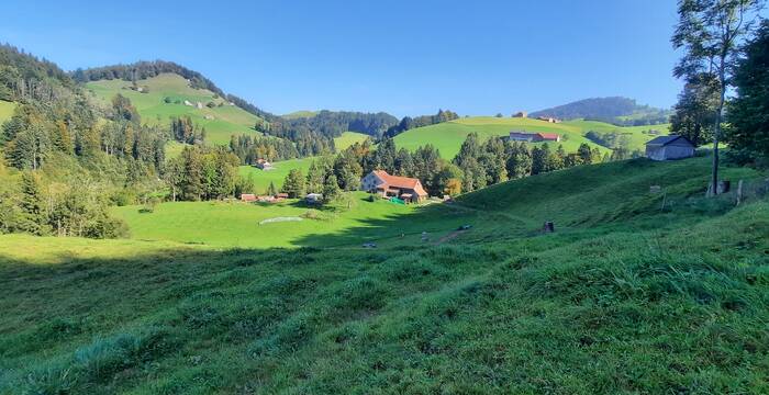Ausblick über das Schutzgebiet Äschenwies