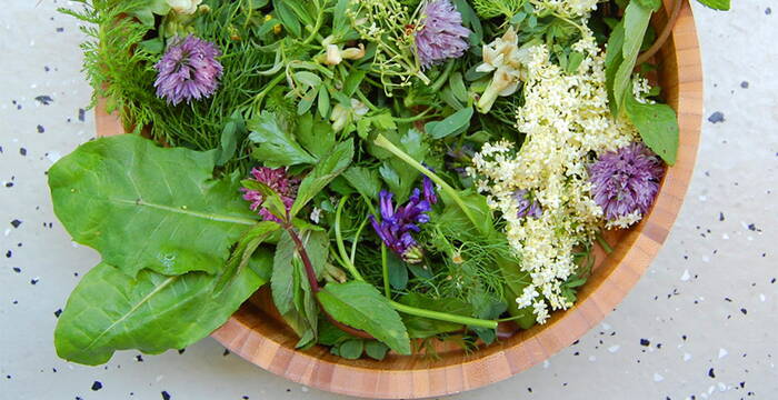 Schüssel voller Wildkräuter