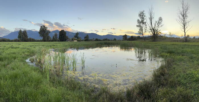 Blick auf die Flutwiese