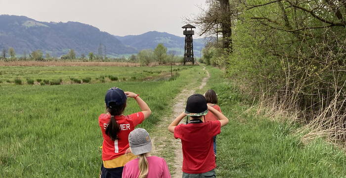 Beobachtung im Riet