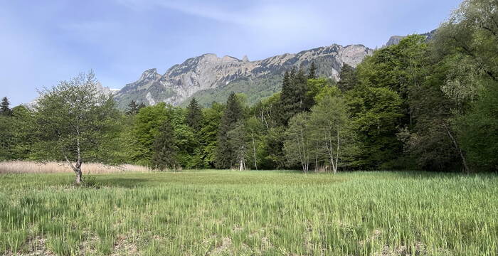 Schutzgebiet Egelsee, Sennwald SG