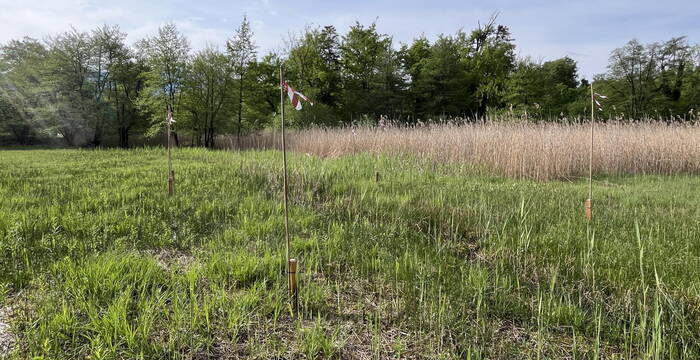 Egelsee, Sennwald: Zentraler Graben