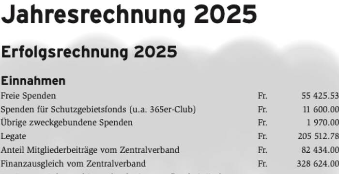 Ausschreibung Vorstandsmitglied Finanzen / Kassier:in