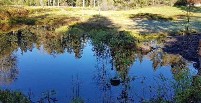 Eingestaute Fläche im Hochmoor Salomonstempel