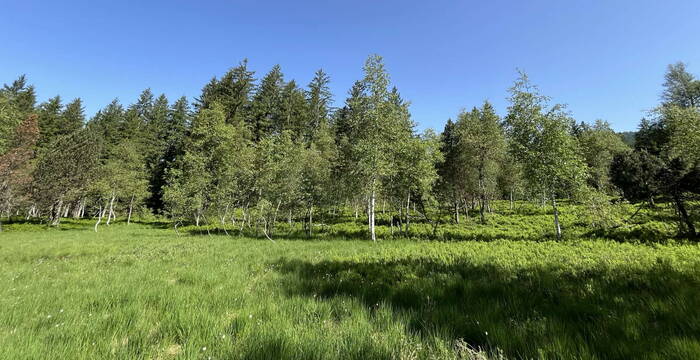 Blick auf das Schutzgebiet Vorderwängi