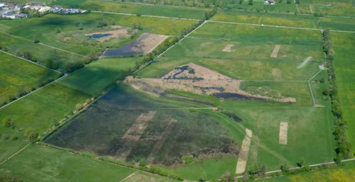 Blick auf das Kaltbrunner Riet