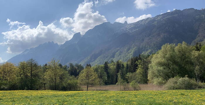 Das Schutzgebiet Egelsee vor dem Alpsteinmassiv