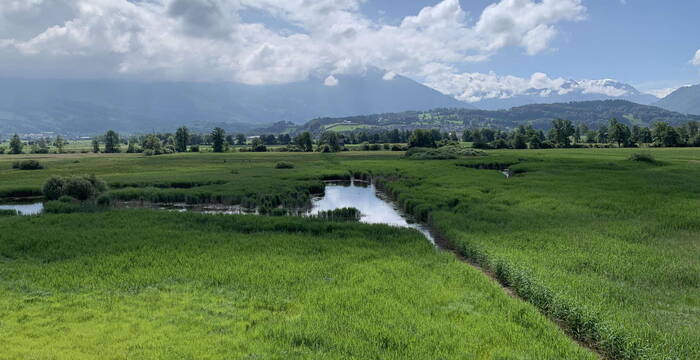Das Kaltbrunner Riet: Ein Ort der Ruhe und Erholung