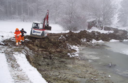 Baggerarbeiten für die Erweiterung der Flachwasserzone. (Foto: Jonas Barandun)