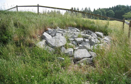 Neuer Steinriegel im Mai 2008 (Foto: Pro Natura St. Gallen-Appenzell)