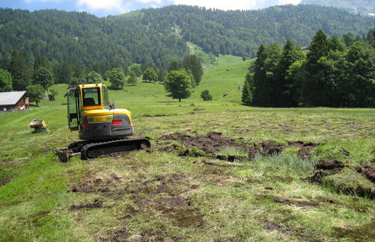 Terrainausgleich zur Verbesserung des Wasserhaushaltes (Foto: Ch. Meienberger)