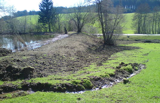 Frisch sanierter Damm. (Foto: Tensing Gammeter)