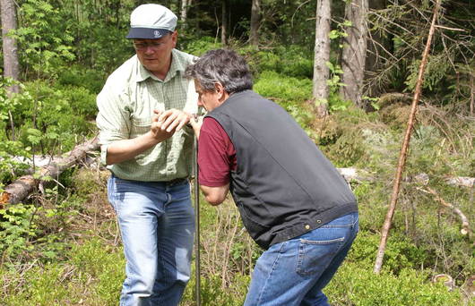 Für die Planung müssen Bodenprofile gebohrt werden. (Foto: Pro Natura SGA)