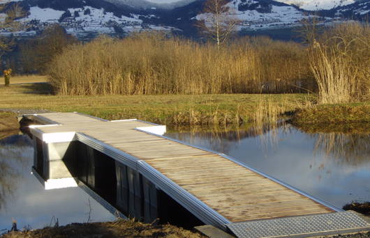 Amadweihers mit Schwimmsteg im Kaltbrunner Riet