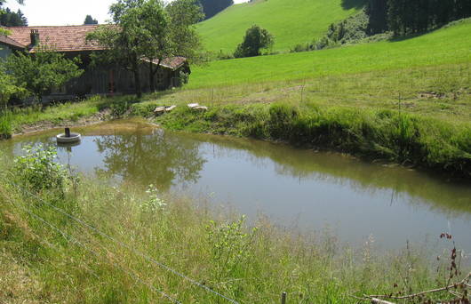 Sanierung Weiher Moos.(Foto: Pro Natura SGA)